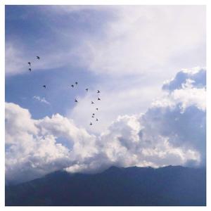 国产综合一区二区在线观看
