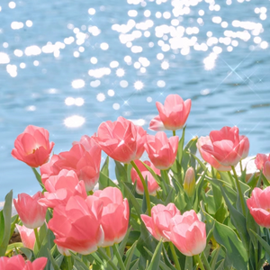 国产综合一区二区在线观看
