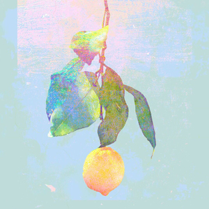 国产综合一区二区在线观看
